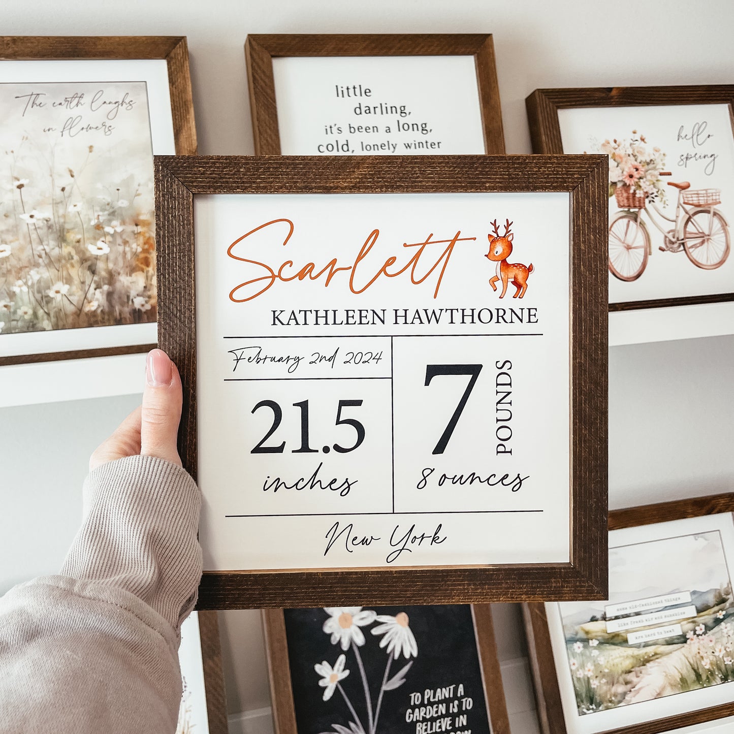 Birth Statistics Sign