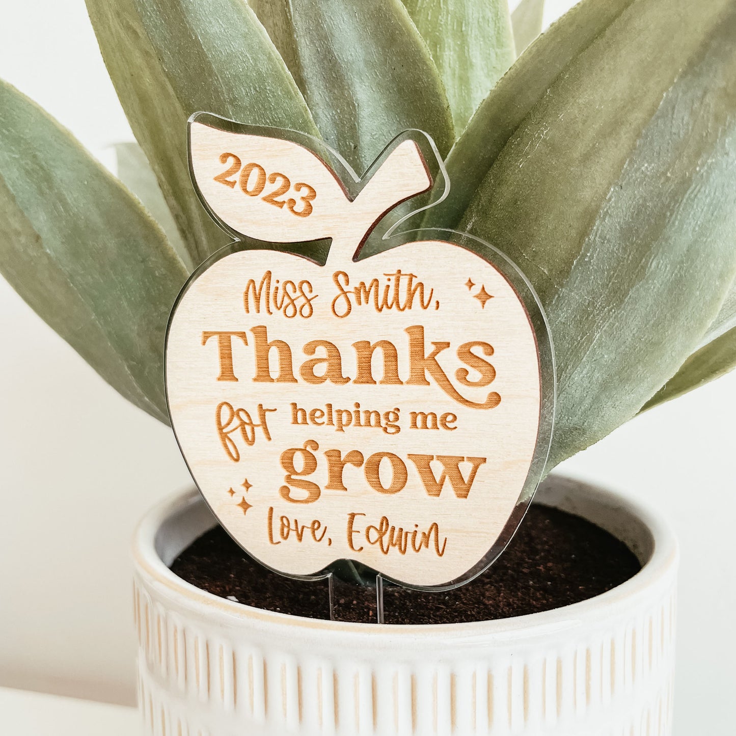 Custom Teacher Apple Plant Stake