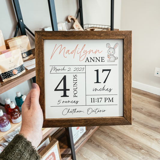 Birth Statistics Sign