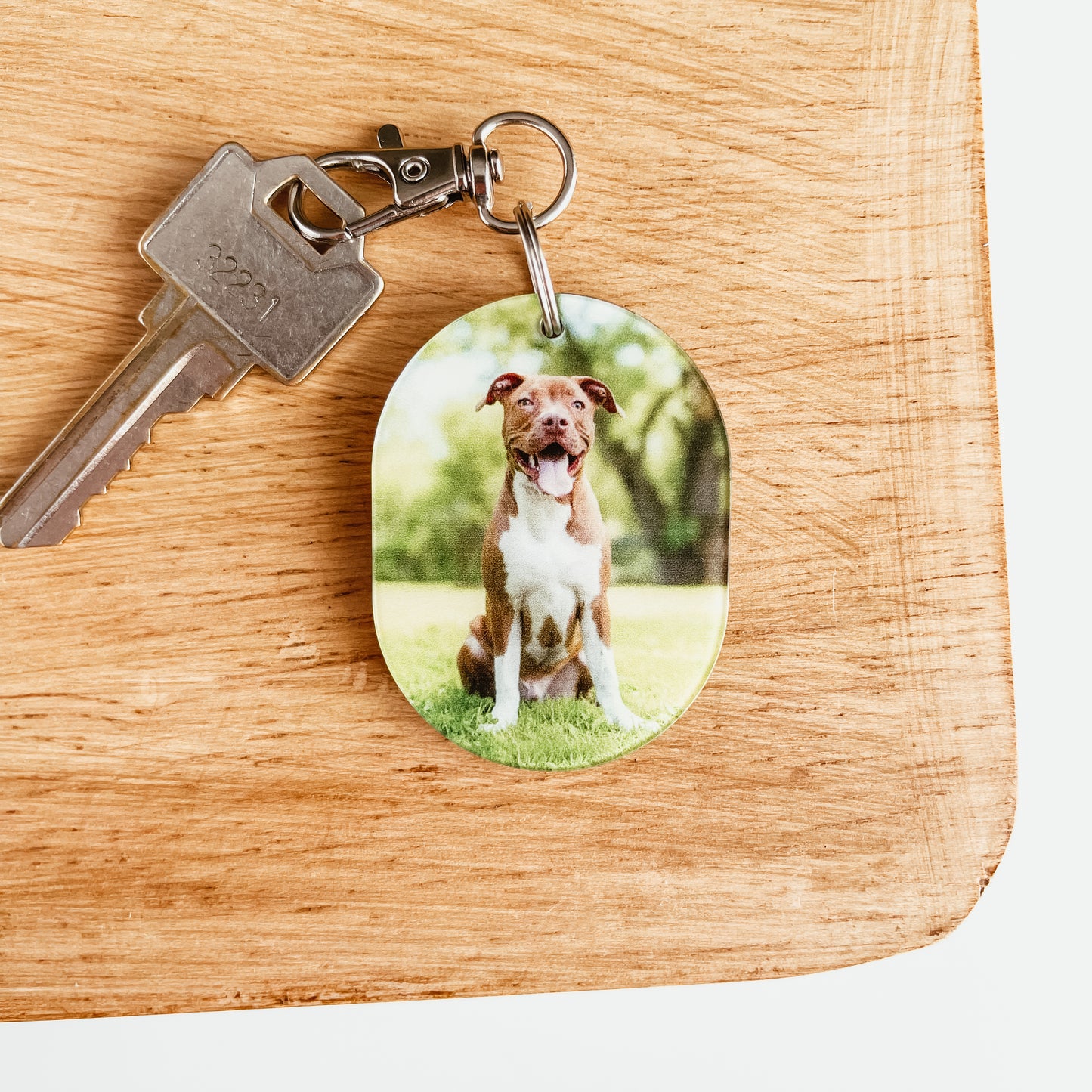 Pet Portrait Photo Keychain