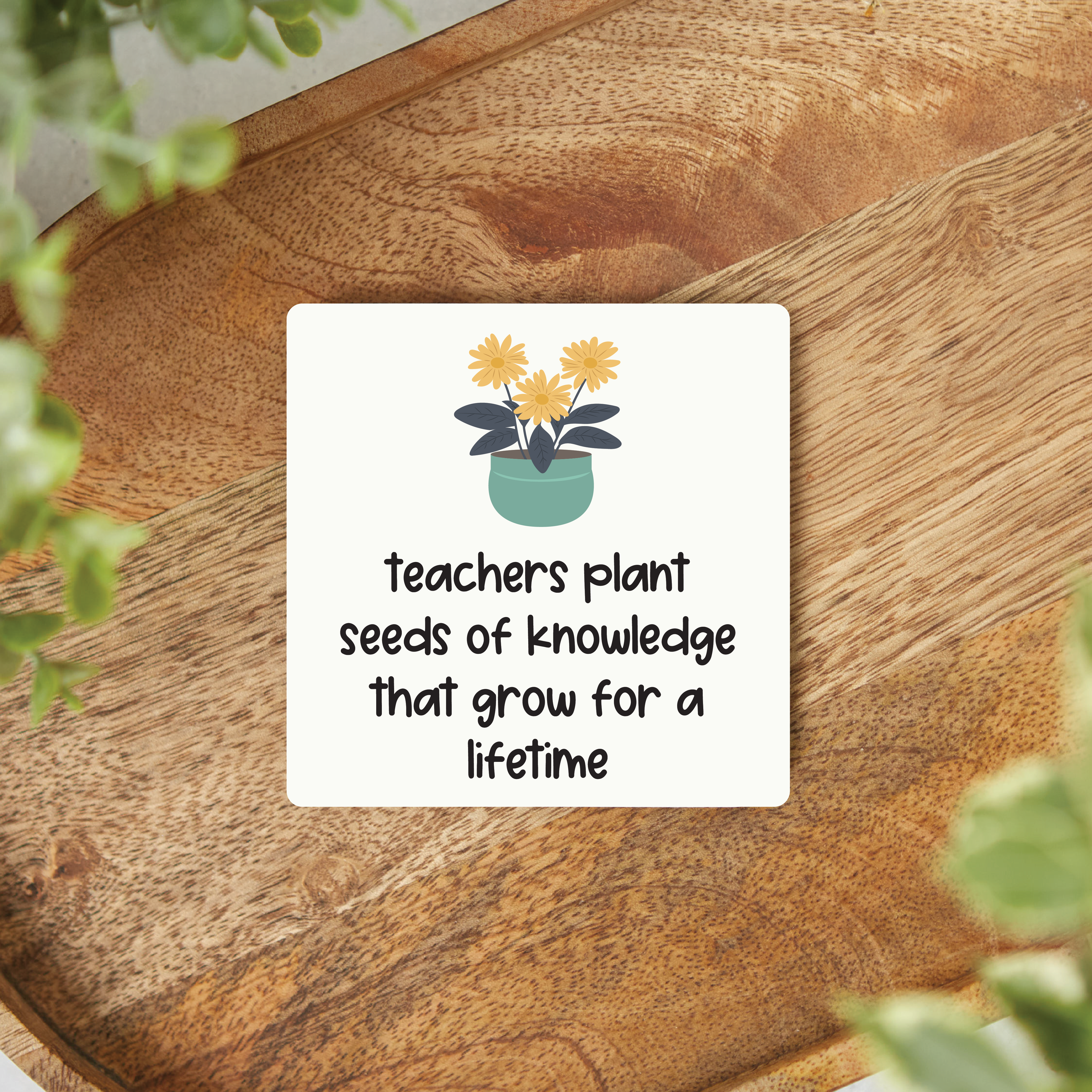 teachers plant seeds of knowledge that last a lifetime Teachers Plant Seeds Of Knowledge Magnet – Knotty Design Co