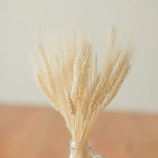 Wheat Bundle