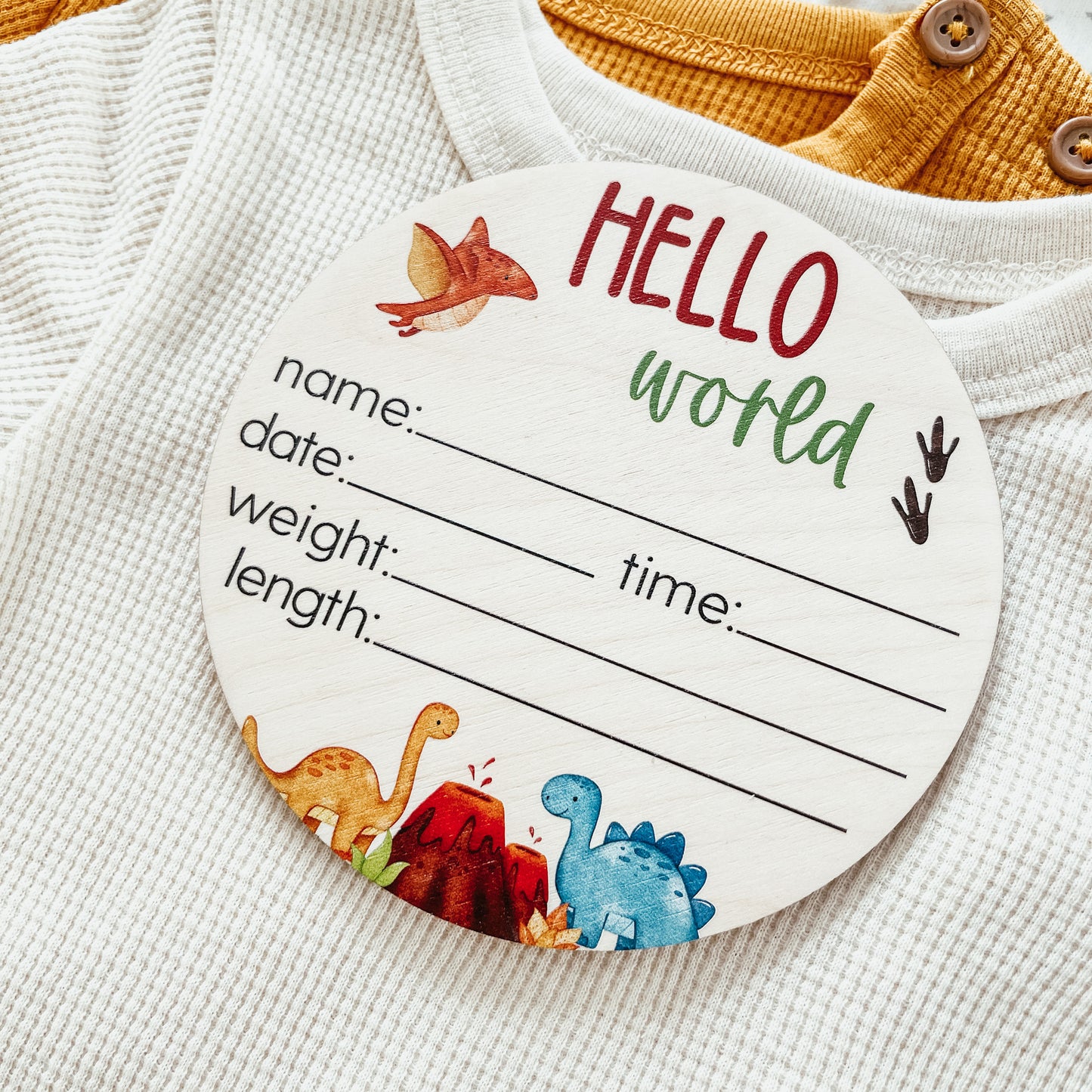 Baby Birth Announcement Sign - Wooden Dinosaurs