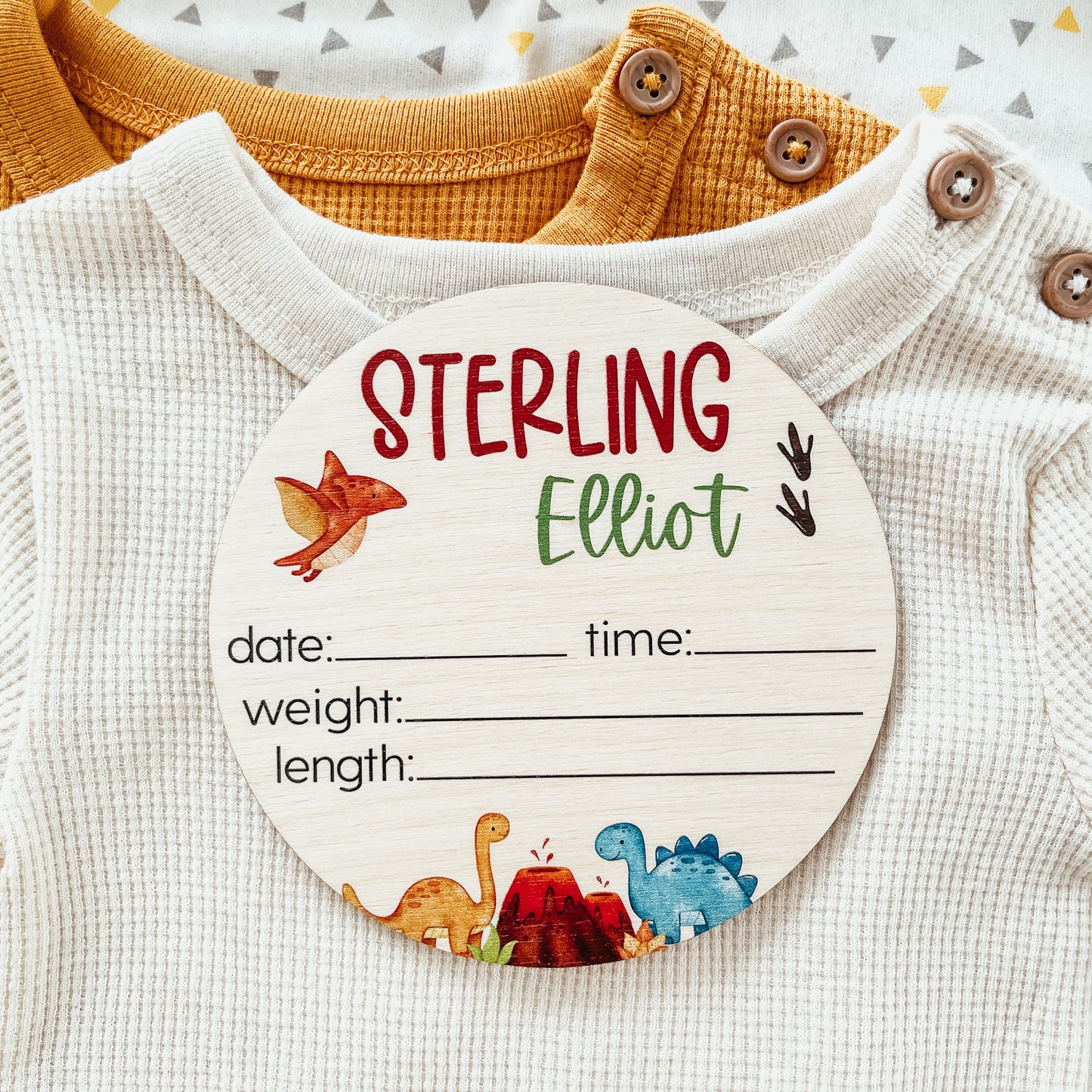 Baby Birth Announcement Sign - Wooden Dinosaurs