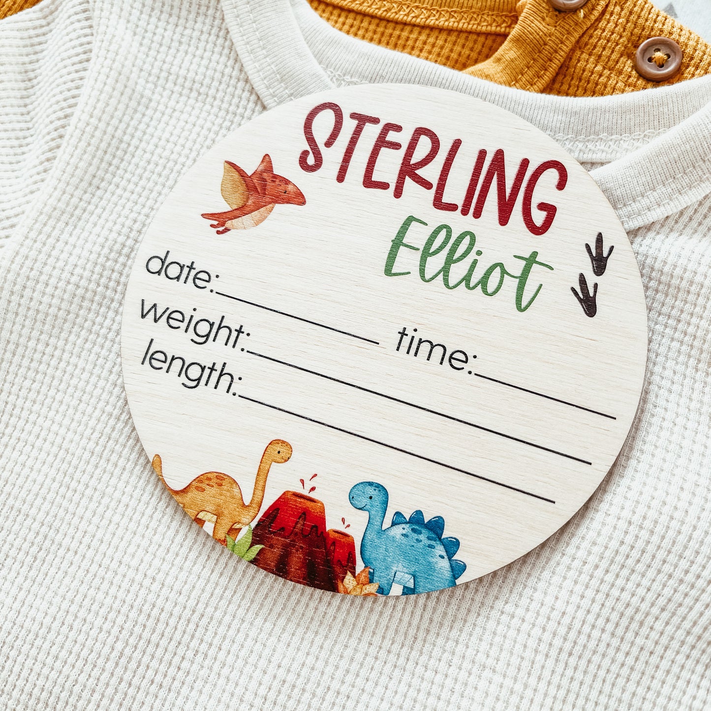 Baby Birth Announcement Sign - Wooden Dinosaurs