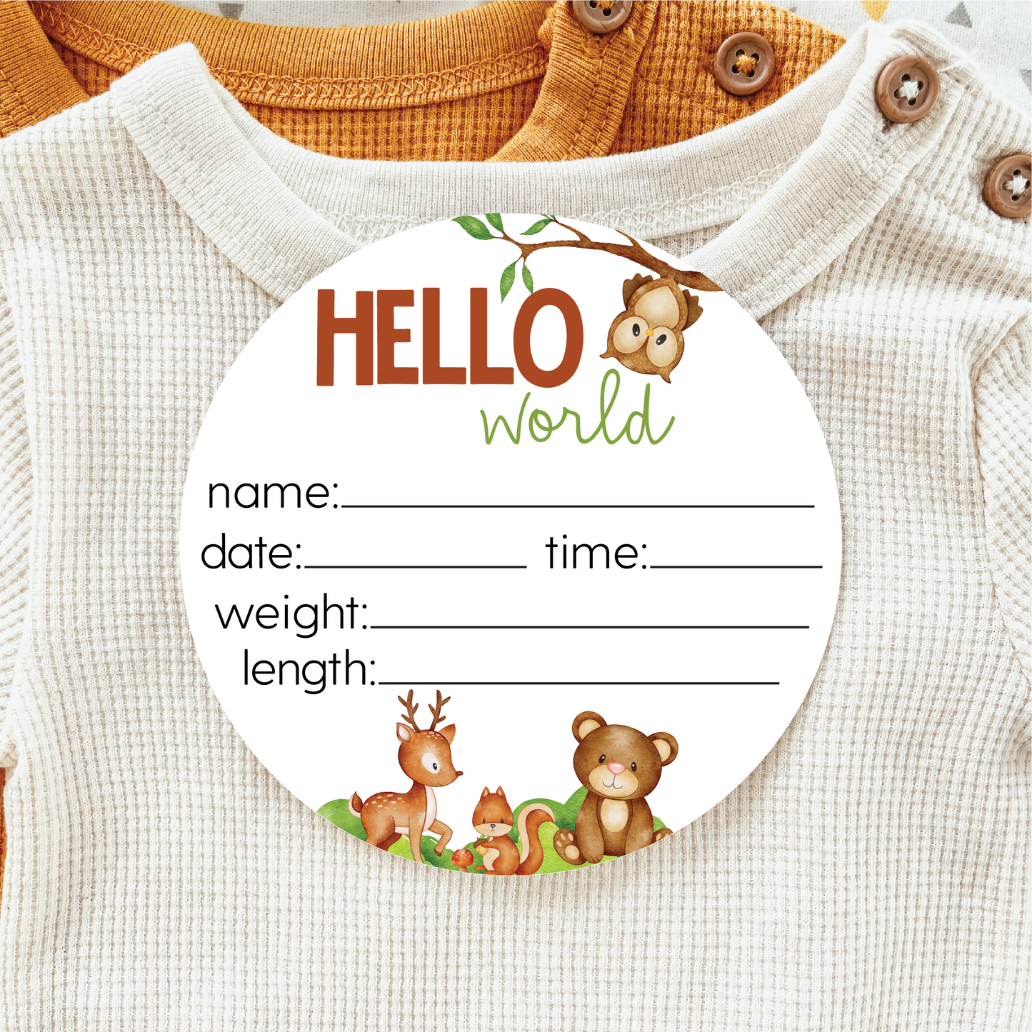 Baby Birth Announcement Sign - Acrylic Woodland Animals