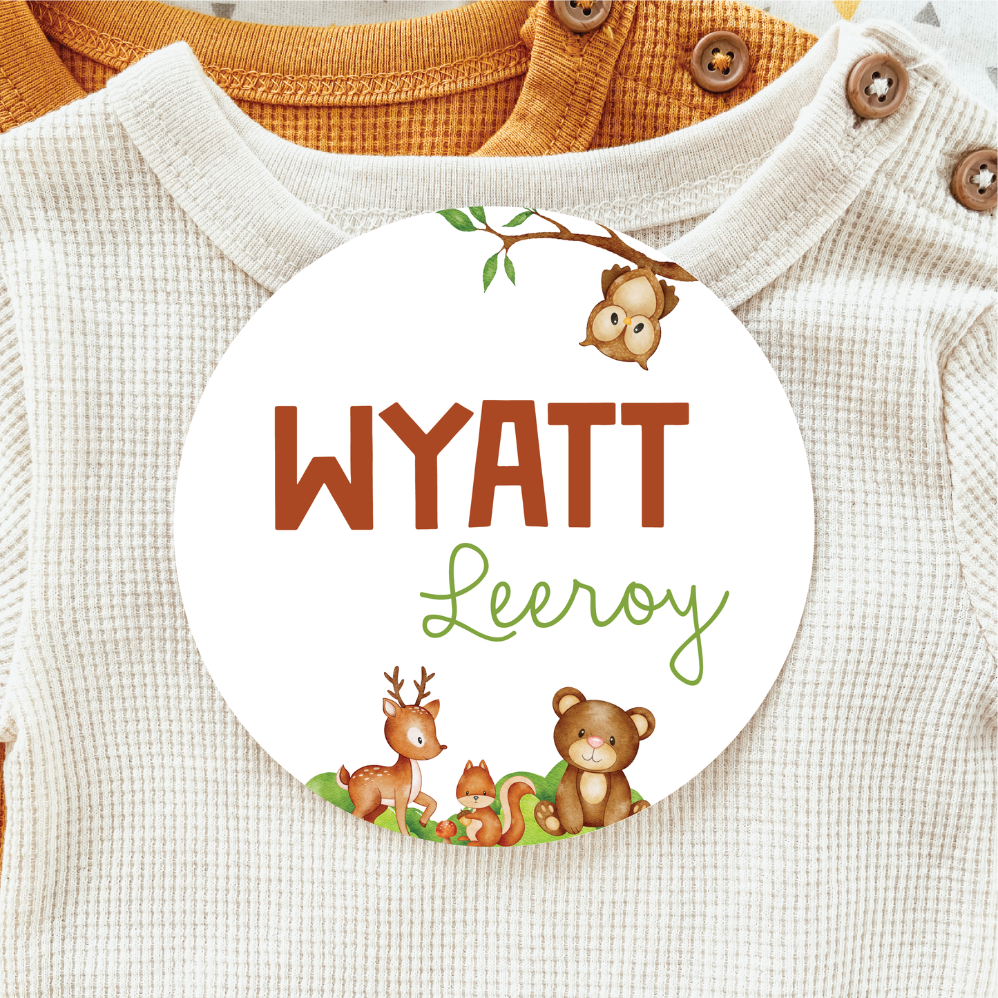 Baby Birth Announcement Sign - Acrylic Woodland Animals