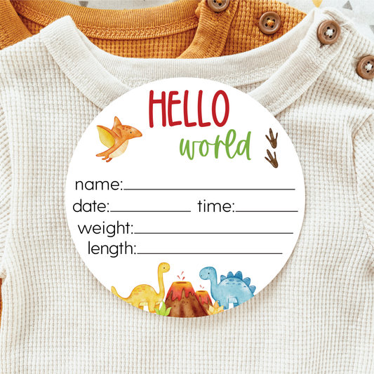 Baby Birth Announcement Sign - Acrylic Dinosaurs