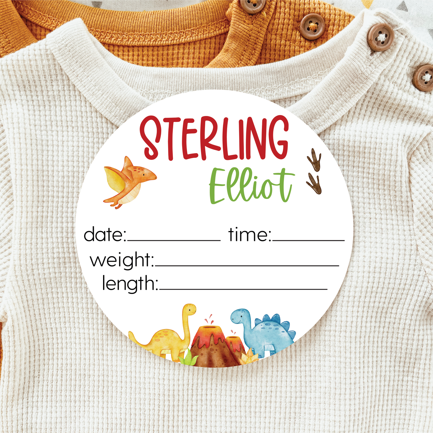 Baby Birth Announcement Sign - Acrylic Dinosaurs