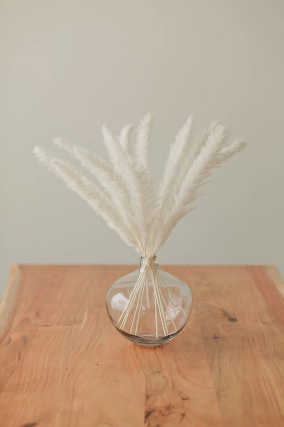 Mini Pampas Bundle