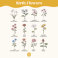 Mom's/Grandma's/Custom Family Birth Flower Framed Sign
