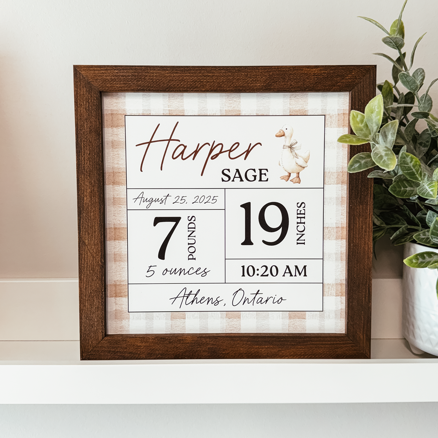 Birth Statistics Sign