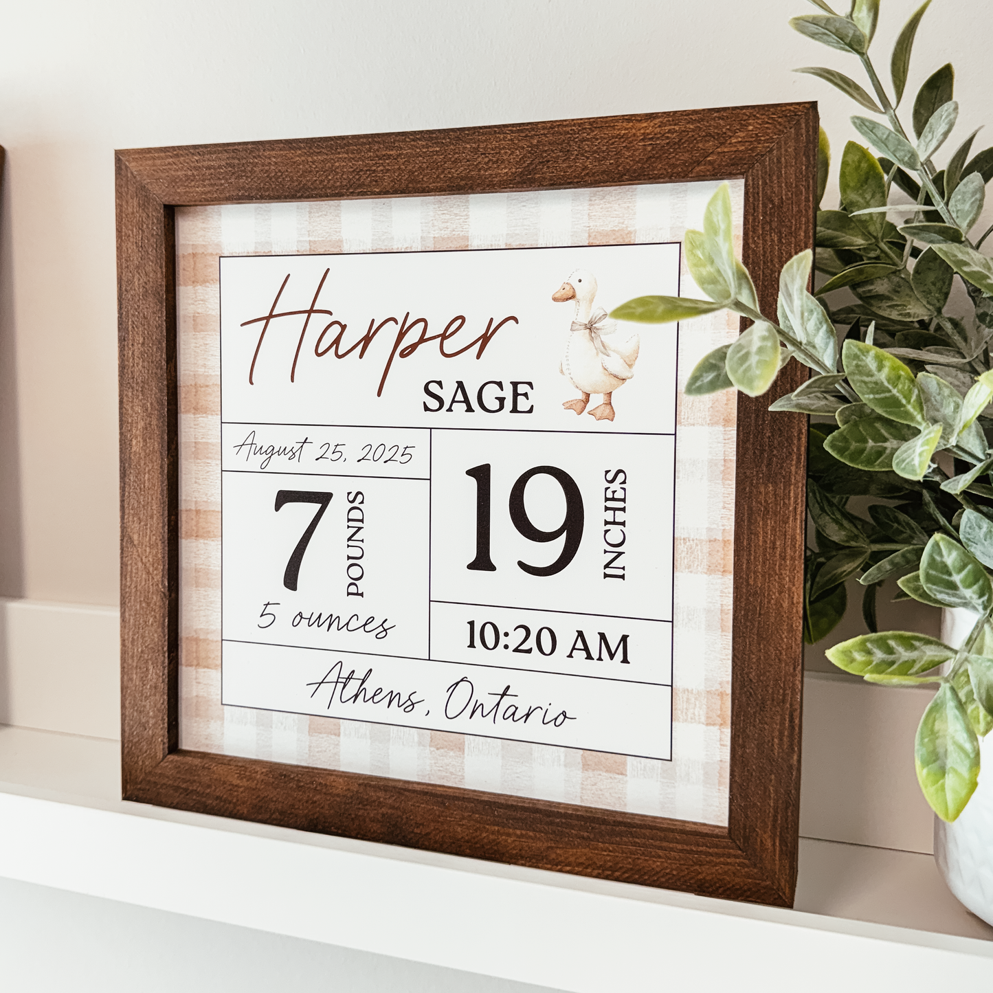 Birth Statistics Sign