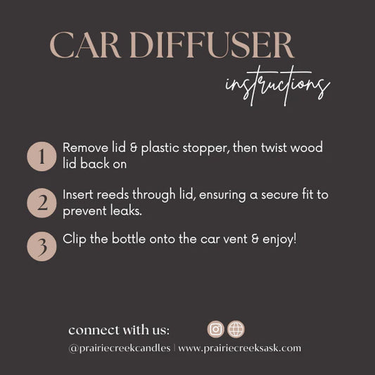 Car Diffuser