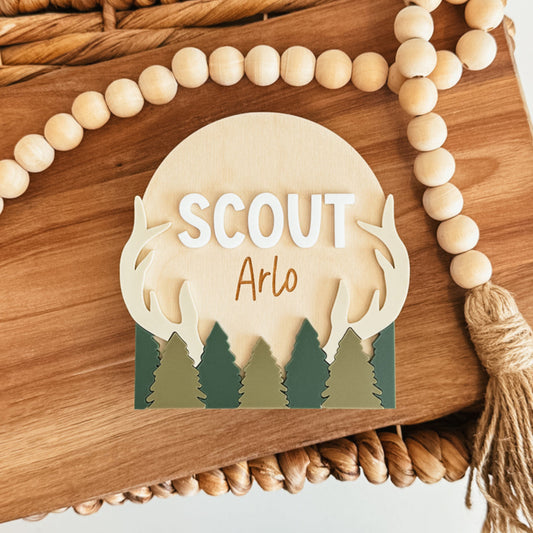 Deer Baby Name Announcement Sign