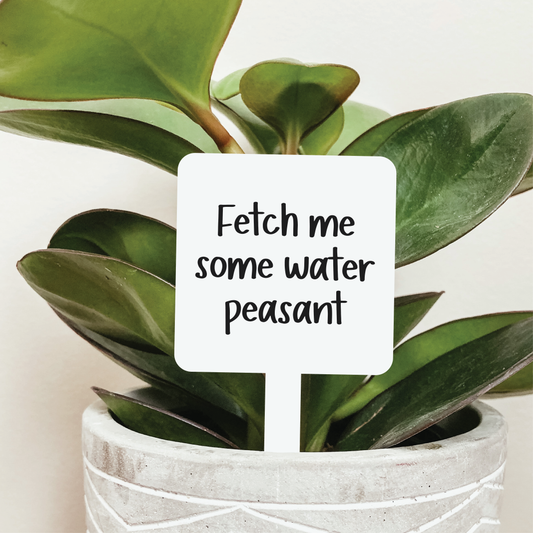 Fetch Me Some Water Peasant Plant Marker