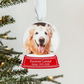 Snow Globe Pet Memorial Christmas Ornament