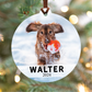 Pet Portrait Ornament