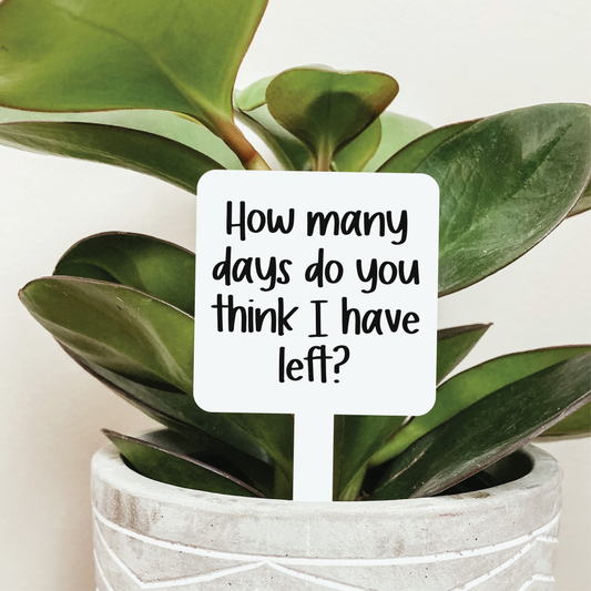 How Many Days Do You Think I Have Left Plant Marker