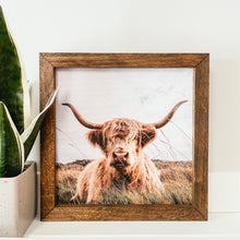 Load image into Gallery viewer, Highland Cow Framed Sign