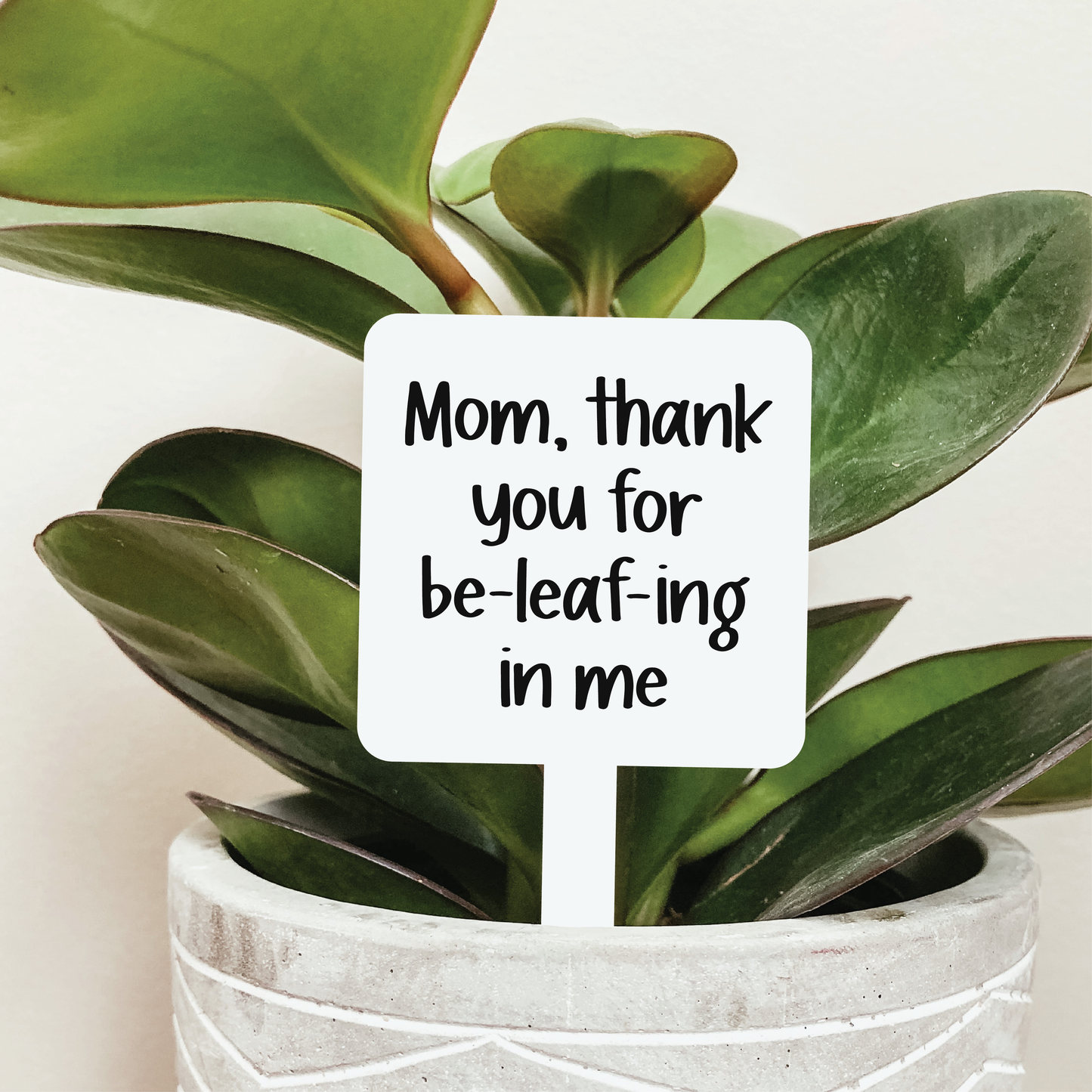 Mom Thank You For Be-leaf-ing In Me Plant Marker