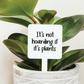 It's Not Hoarding If It's Plants Plant Marker