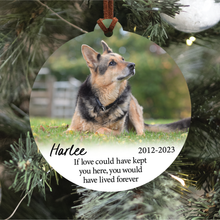 Load image into Gallery viewer, Pet Memorial Ornament | If Love Could Have Kept You Here