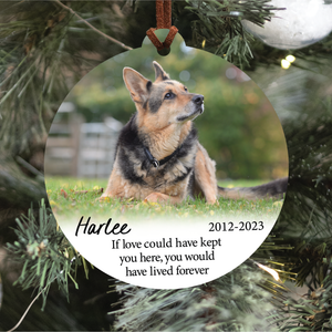 Pet Memorial Ornament | If Love Could Have Kept You Here