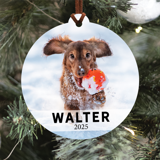Pet Portrait Ornament