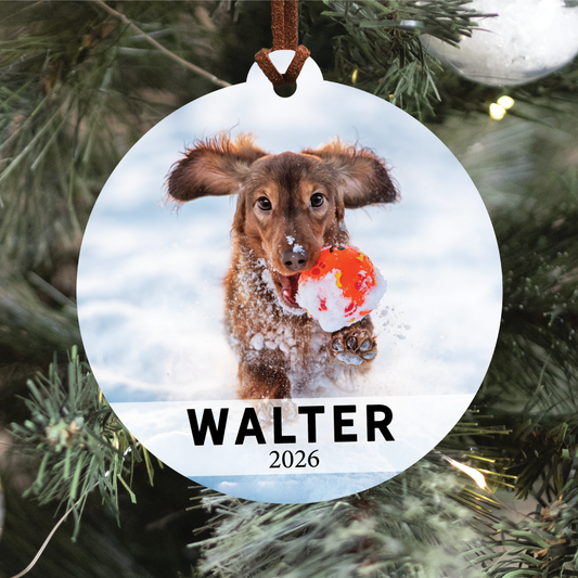 Pet Portrait Ornament