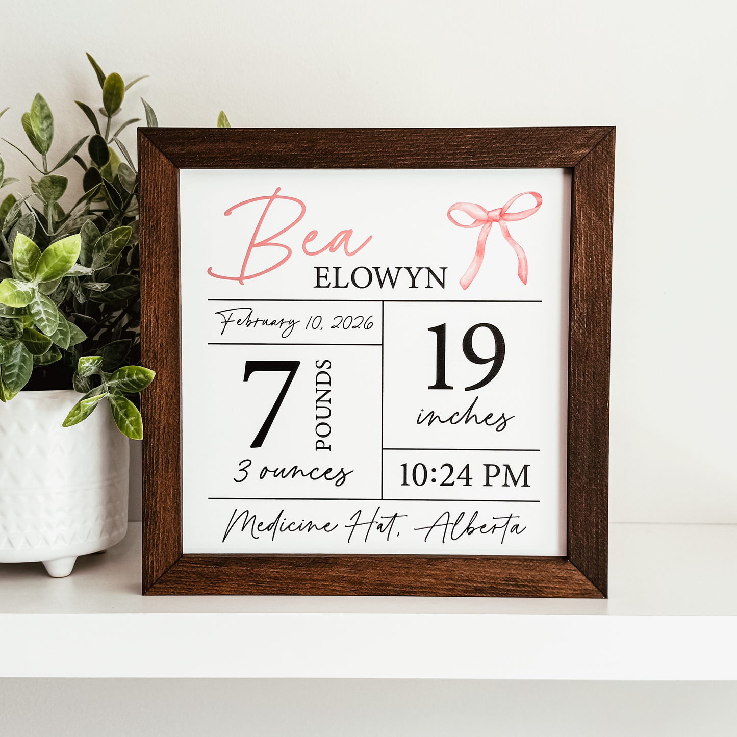 Birth Statistics Sign