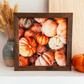 Watercolour Pumpkins Framed Fall Sign