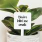 You're Killin' Me Smalls Plant Marker