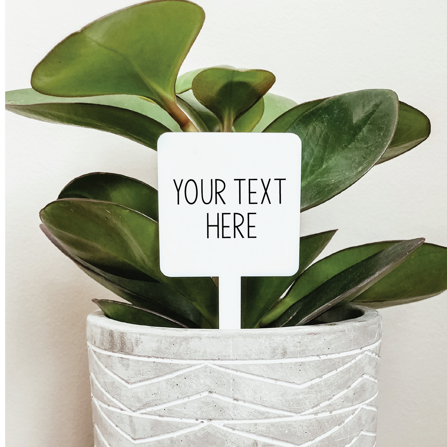 Personalized Plant Marker