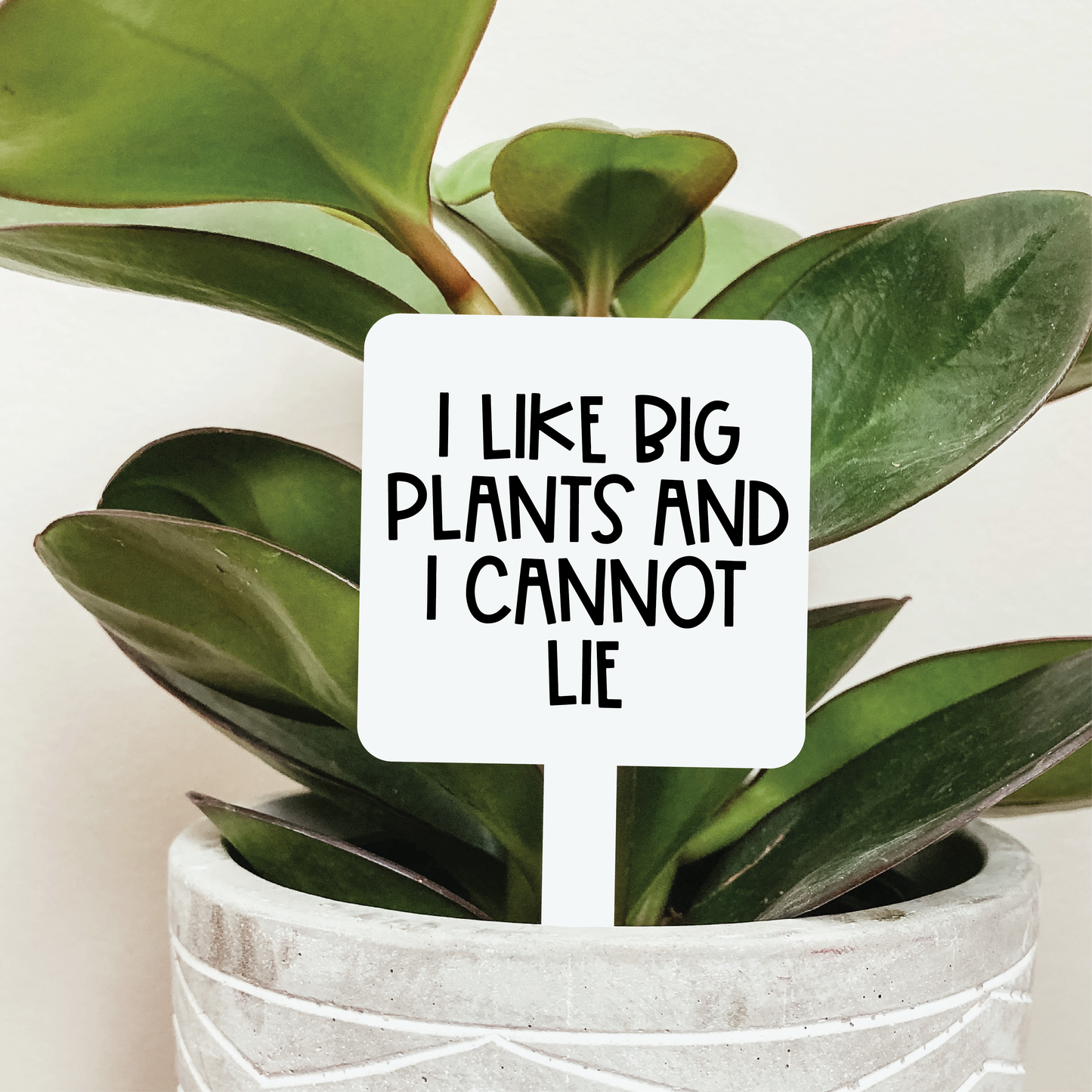 I Like Big Plants Plant Marker