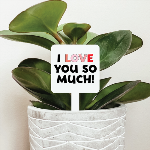 I Love You So Much Plant Marker