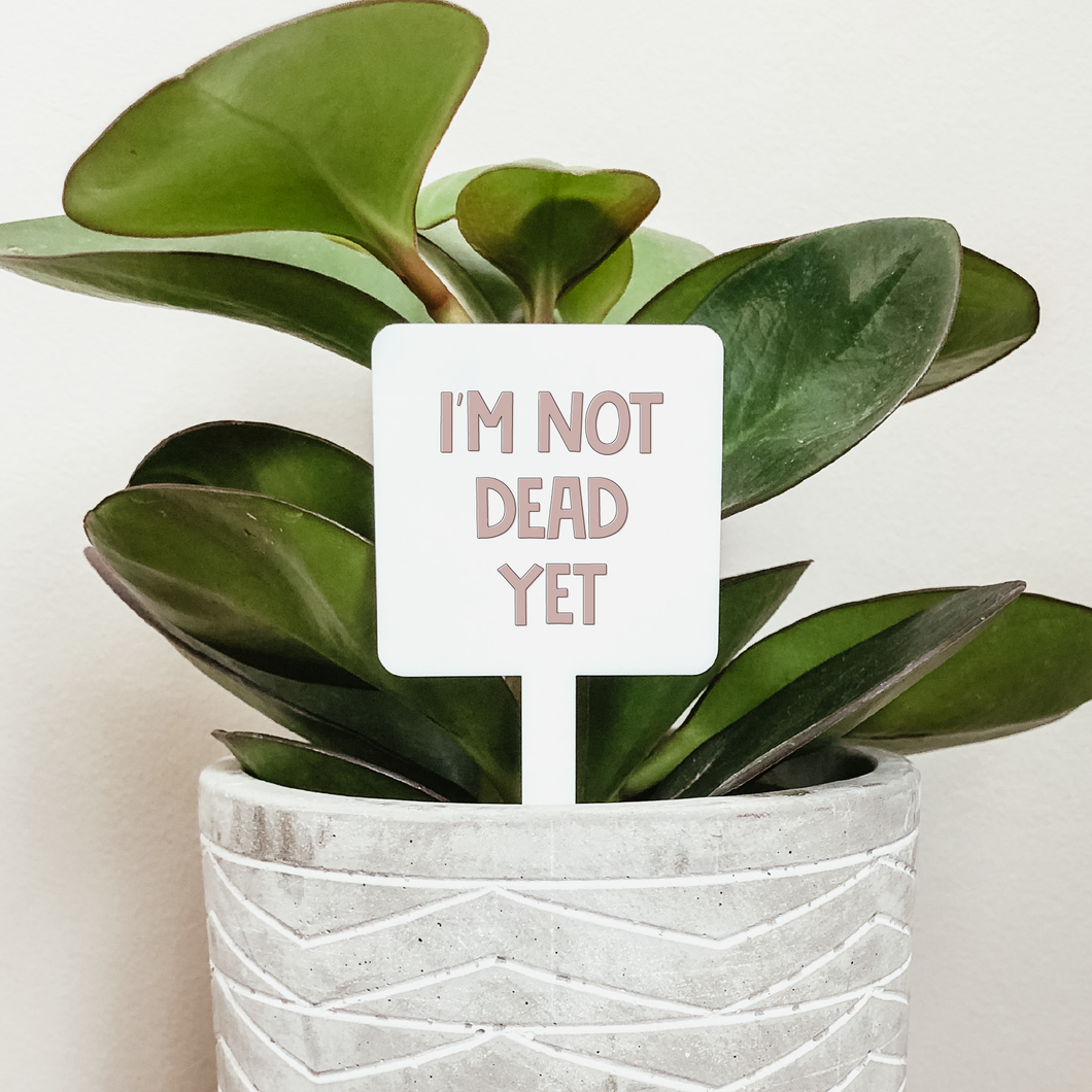 I'm Not Dead Yet Plant Marker