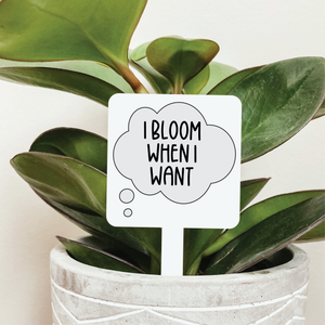 I Bloom When I Want Plant Marker