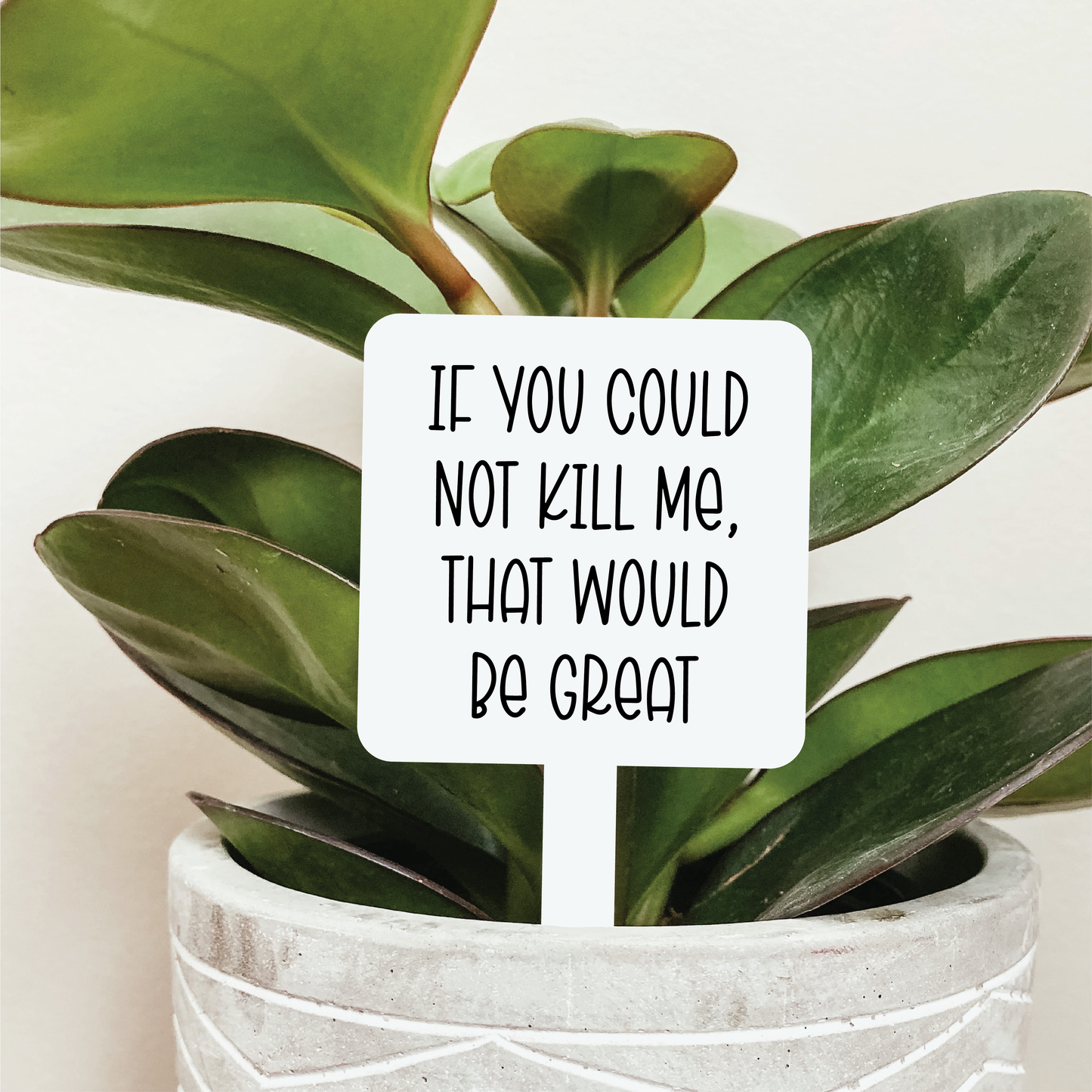 If You Could Not Kill Me Plant Marker