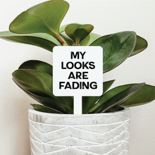 Load image into Gallery viewer, My Looks Are Fading Plant Marker