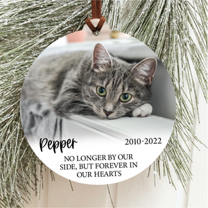 Pet Memorial Ornament | Forever In Our Hearts