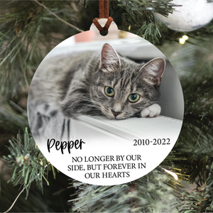 Pet Memorial Ornament | Forever In Our Hearts
