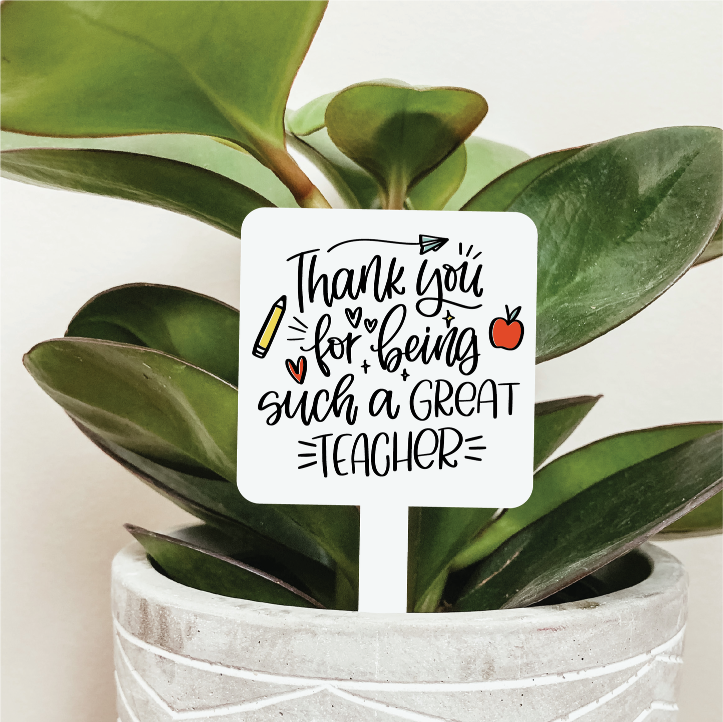 Thank You For Being Such A Great Teacher Plant Marker