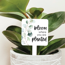 Load image into Gallery viewer, Bloom Where You Are Planted Plant Marker