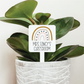 Personalized Classroom Plant Marker