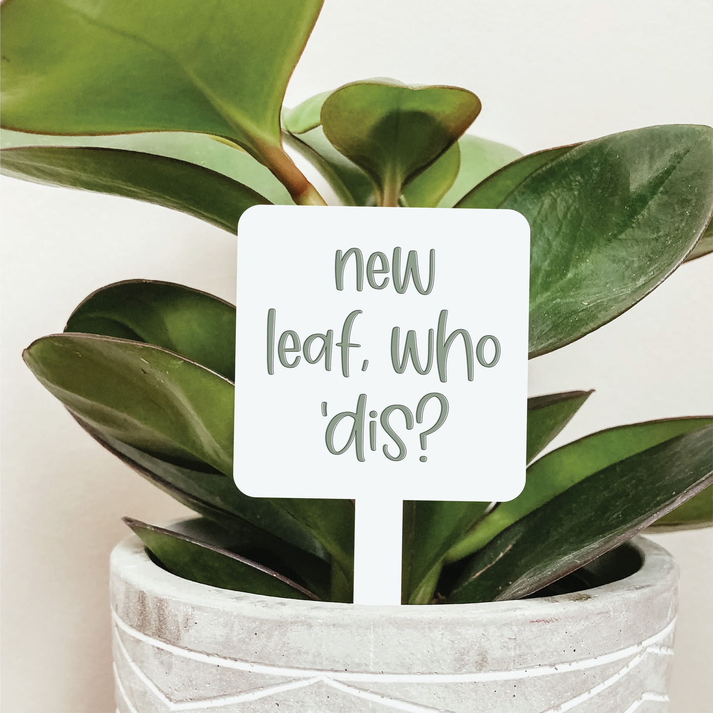 New Leaf Who 'Dis Plant Marker